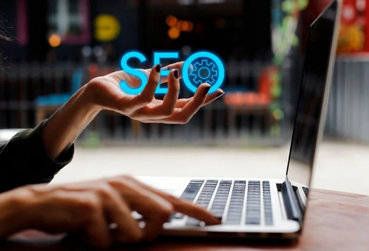 Bodrum Web Site Tasarımcı
